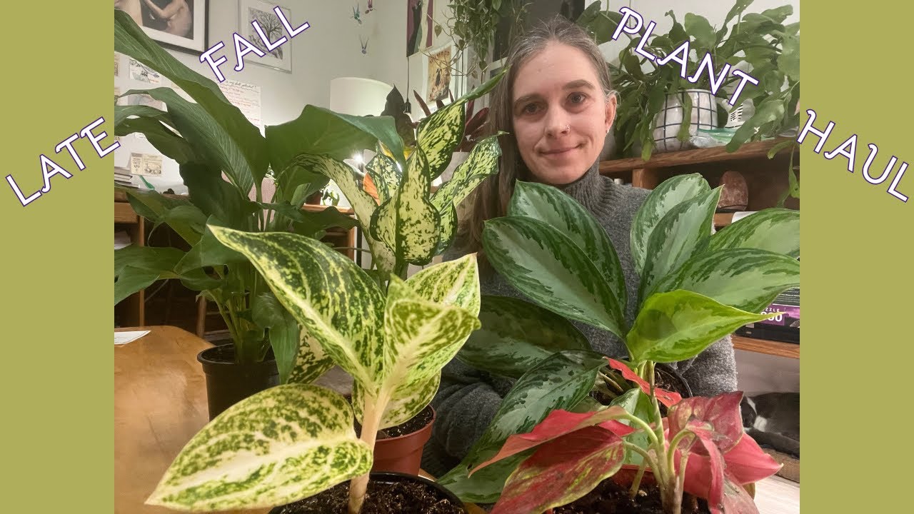 Late fall plant haul