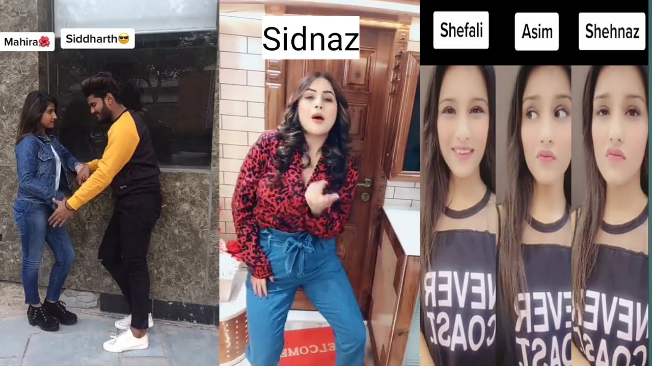 #shehnaz Gill💖💓💞 shehnaz Gill new tik Tok video #SIDNAZ💞💗💓 shehnaz Gill