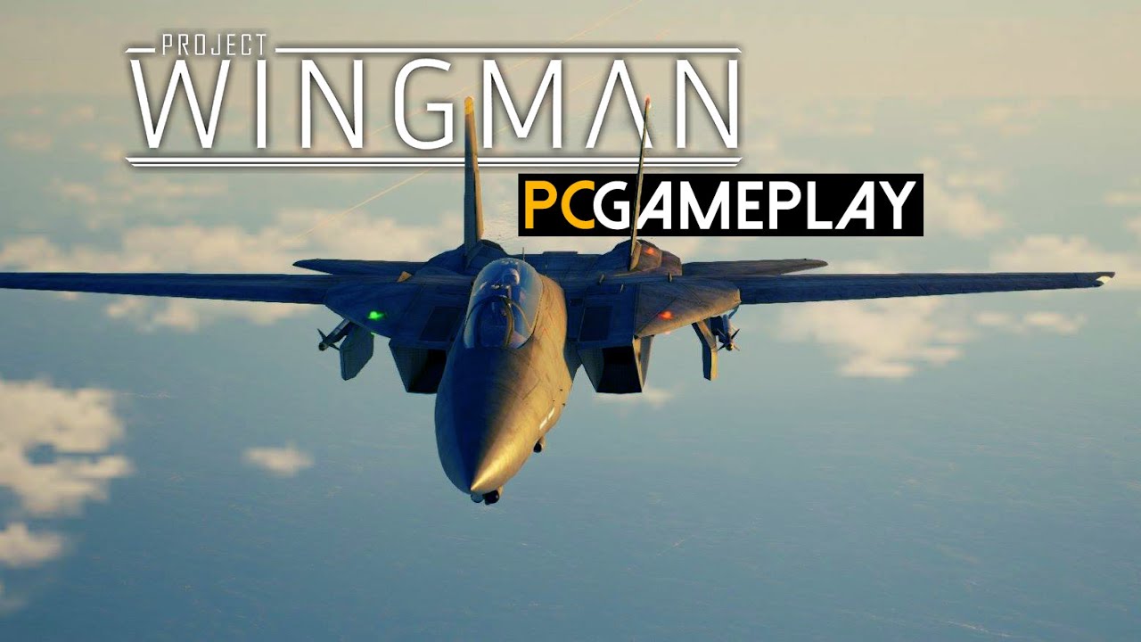 Project Wingman Gameplay (PC HD)