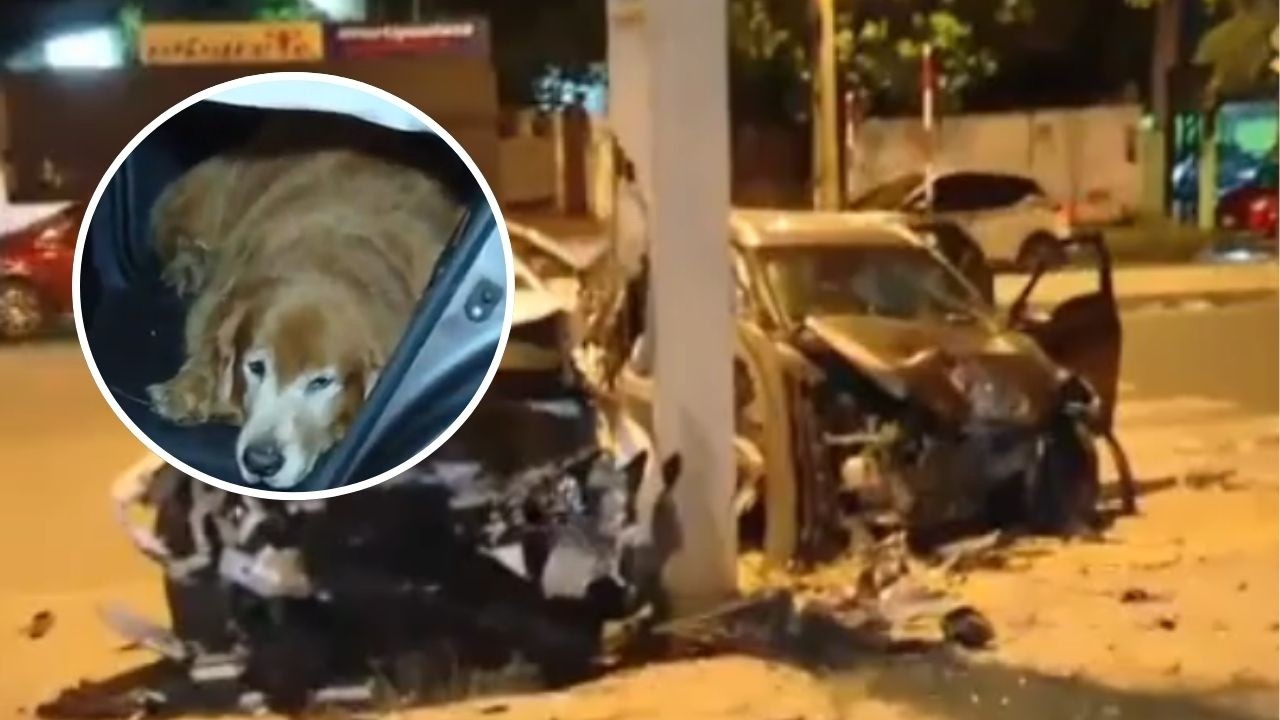 Una persona perdió la vida tras trágico accidente en Fernando de la Mora