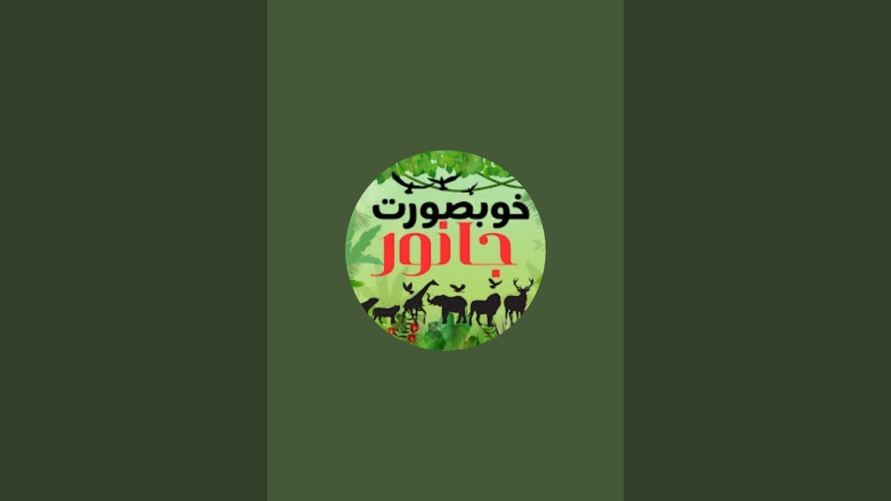 خوبصورت جانور is live 021