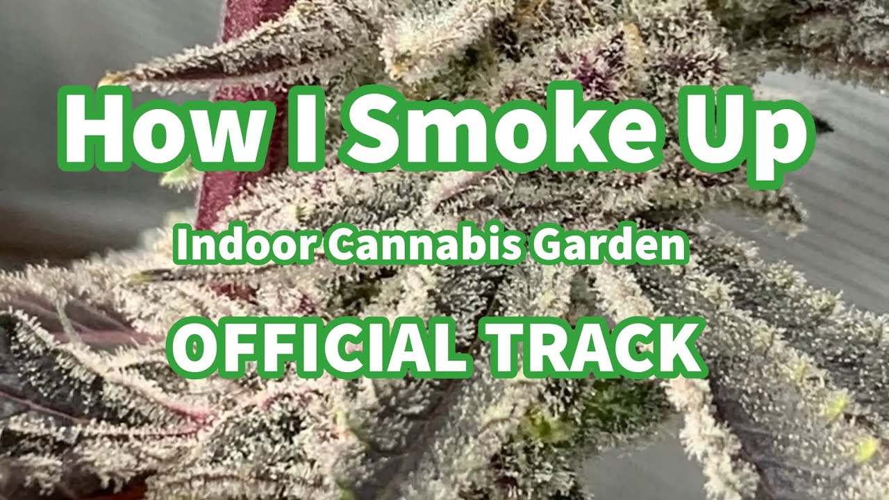 How I Smoke Up &ndash; Indoor Cannabis Garden (Official Track)