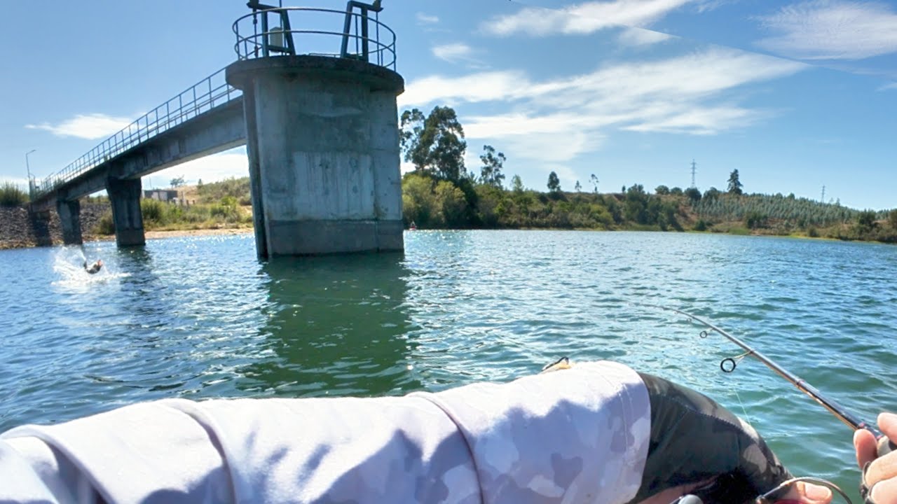 Pesca ao achigã no verão (grande captura) - Barragem do Carril | Kayak Summer Bass Fishing