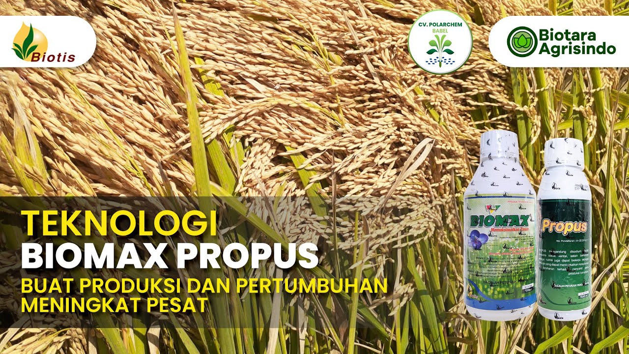 TEKNOLOGI BIOMAX DAN PROPUS || SOLUSI UNTUK MENINGKATKAN PRODUKSI DAN PERTUMBUHAN TANAMAN