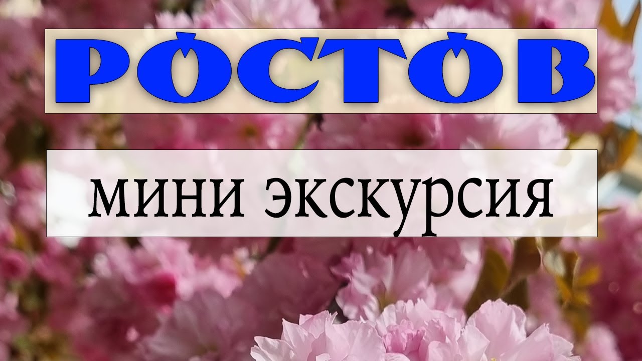 Весна в Ростове. Годовщина свадьбы. Мини экскурсия по Ростову-на-Дону.
