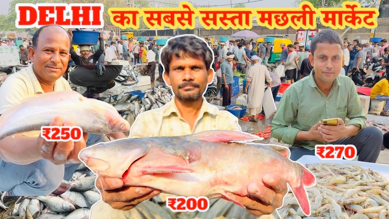 गाजीपुर मछली मंडी |Fish Mandi Delhi Today Price ghazipur machli mandi wholesale ghazipur Fish Mandi|