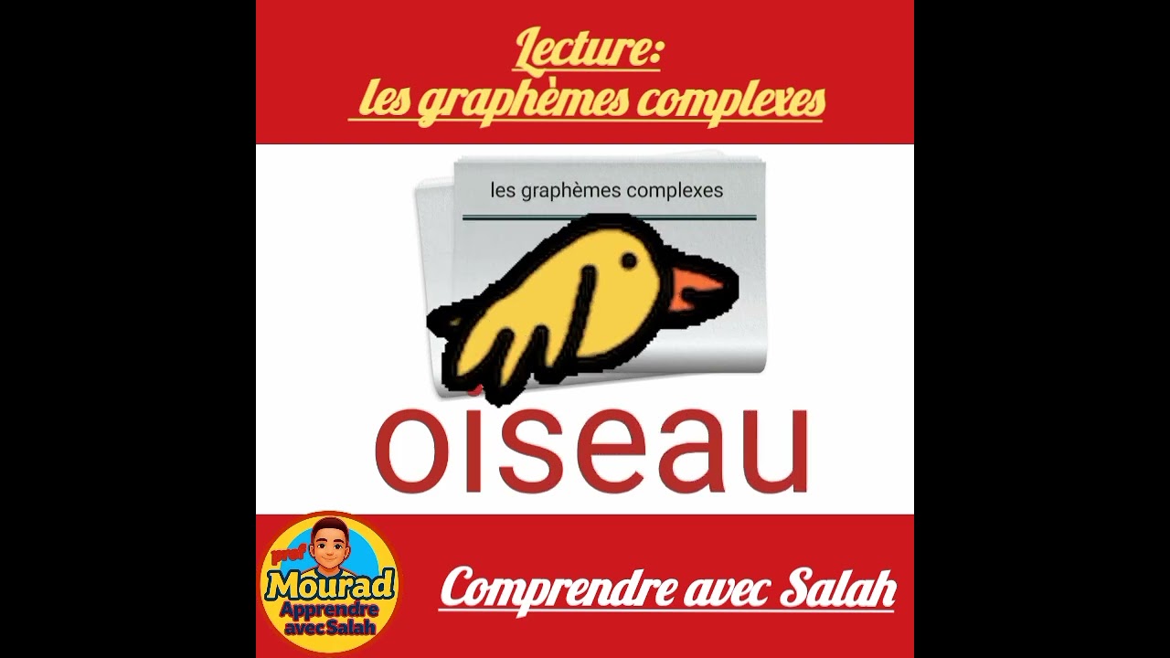 les graph&egrave;mes complexes 2