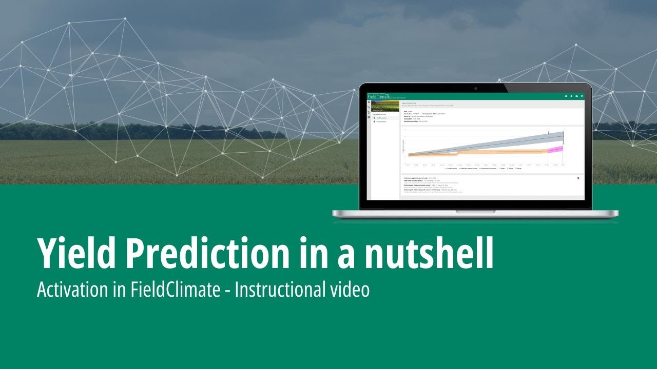 Yield Prediction in a nutshell