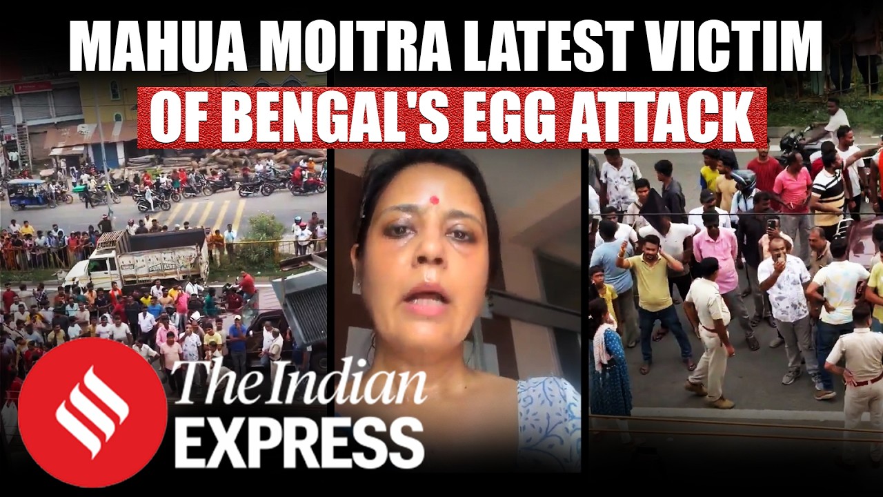Mahua Moitra Egg Attack: How TMC Leader Was Attacked And What It Means