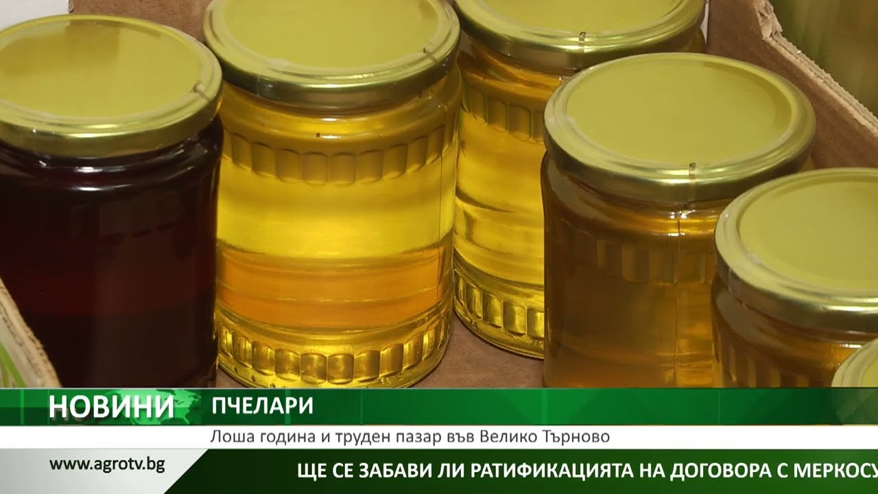 Централна емисия новини на АГРО ТВ – 22.01.2026 г.