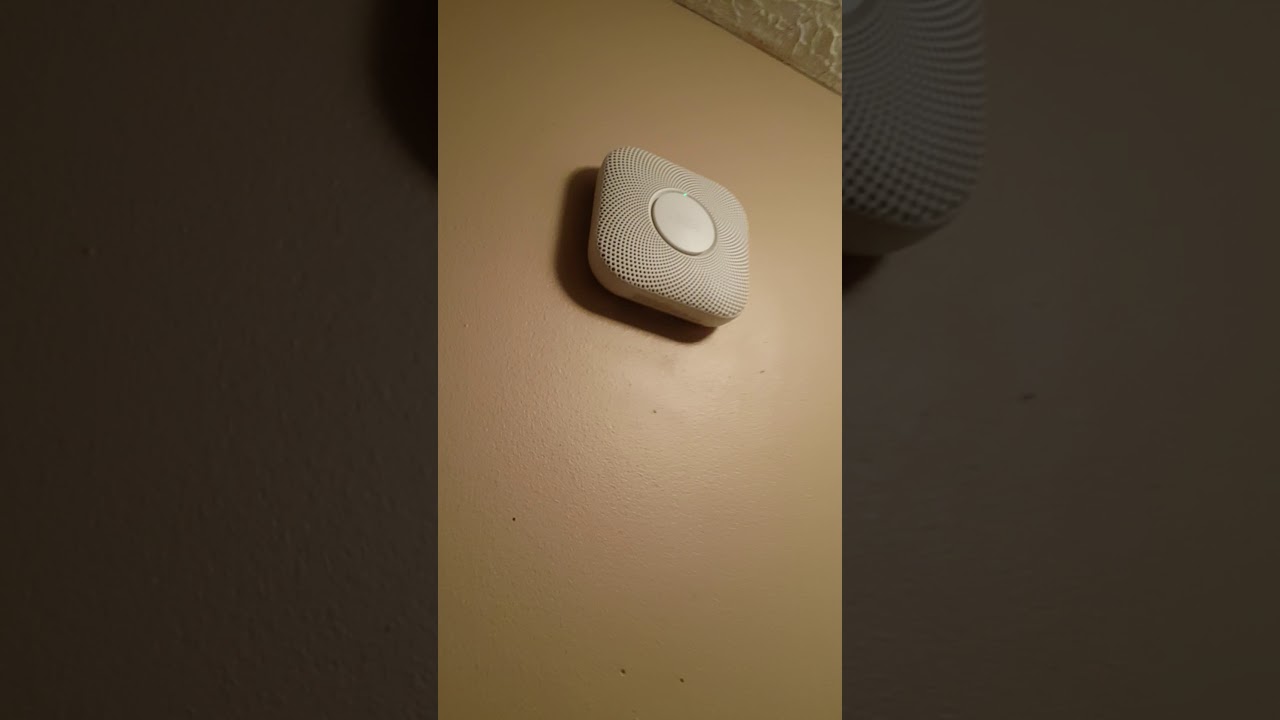 Nest thermostat and Nest protect