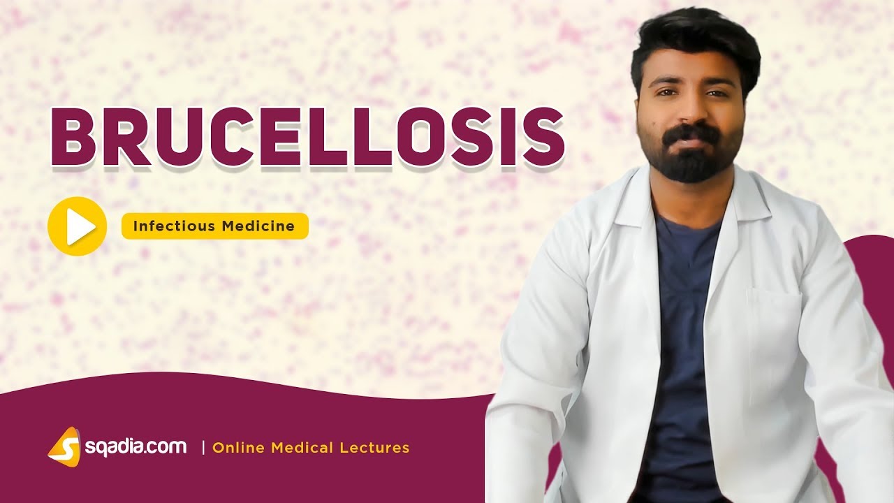 Brucellosis | Infectious Medicine Lectures | Medical Education | V-Learning | sqadia.com