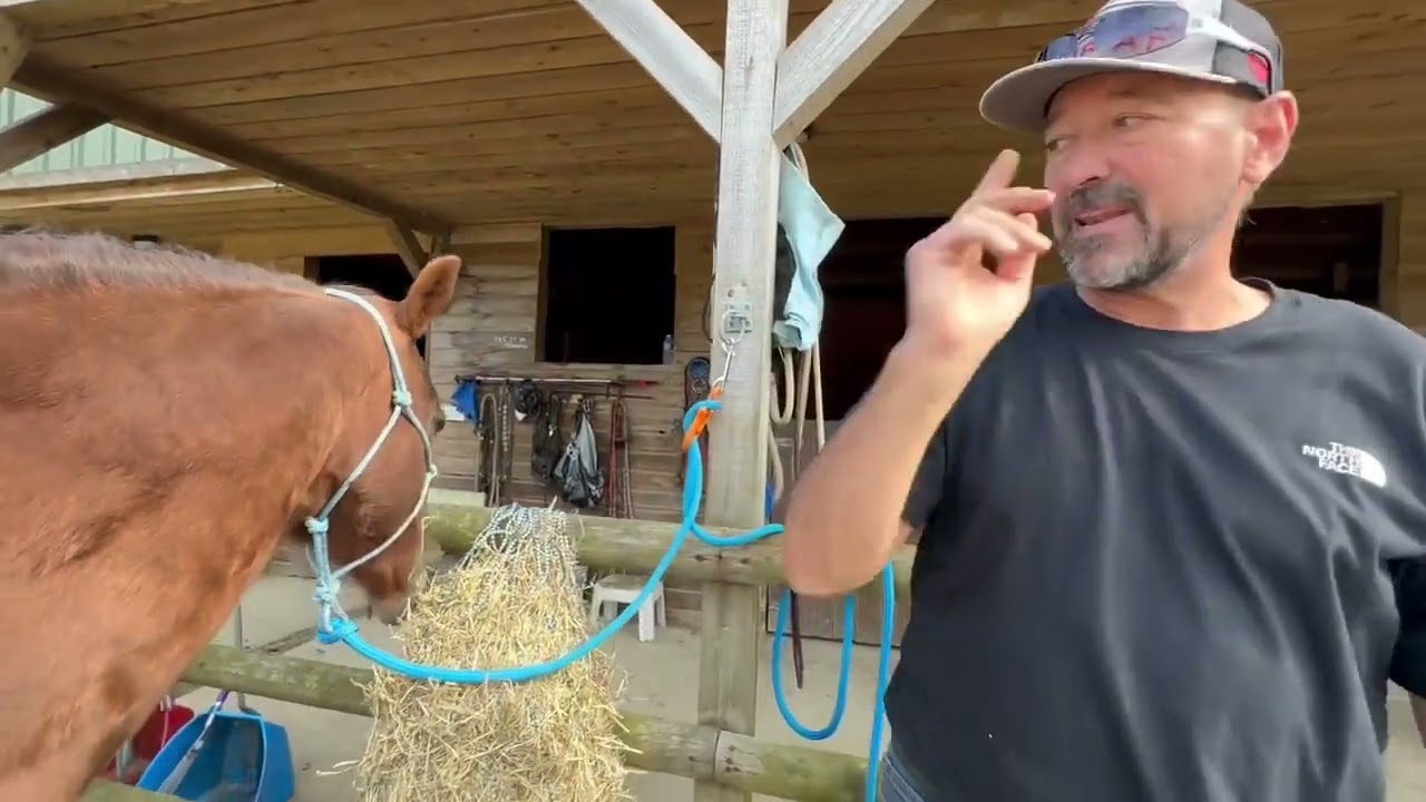 Steve demonstrates how to correctly tie rope halters and use horse safety ties .