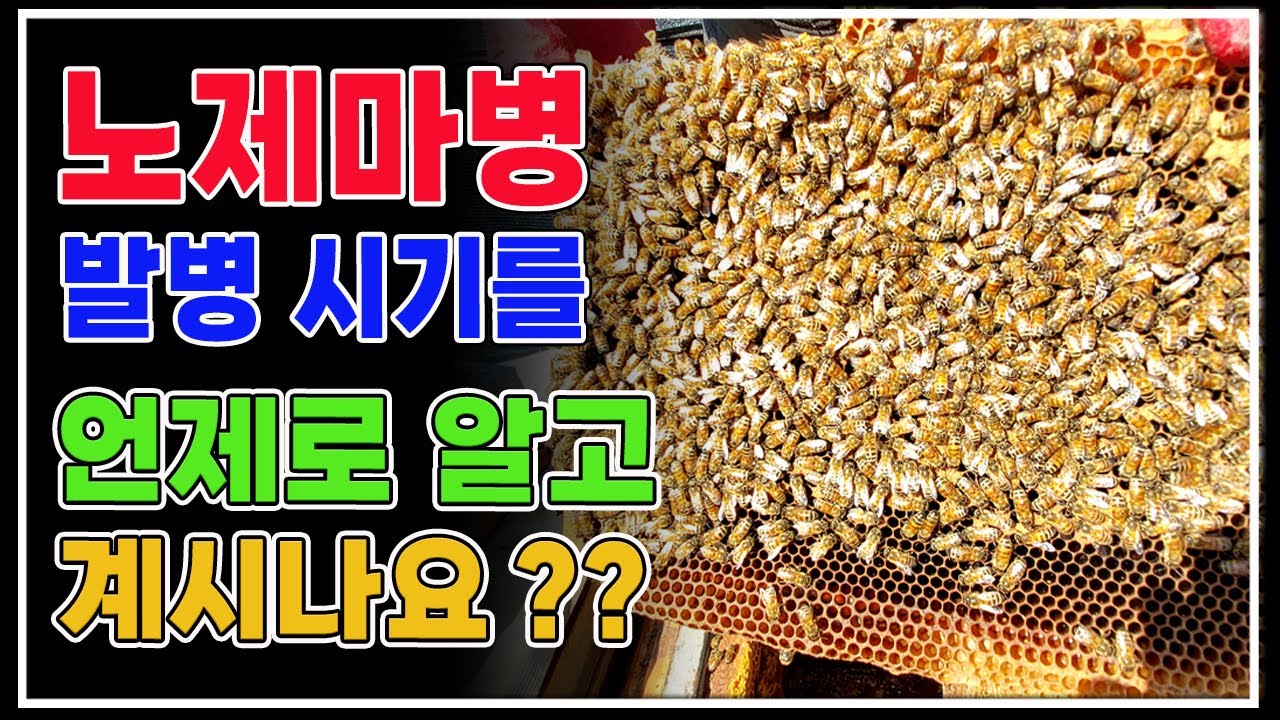 이제부터 우리도 꿀벌의 질병에 관심을 가져야 할 때입니다