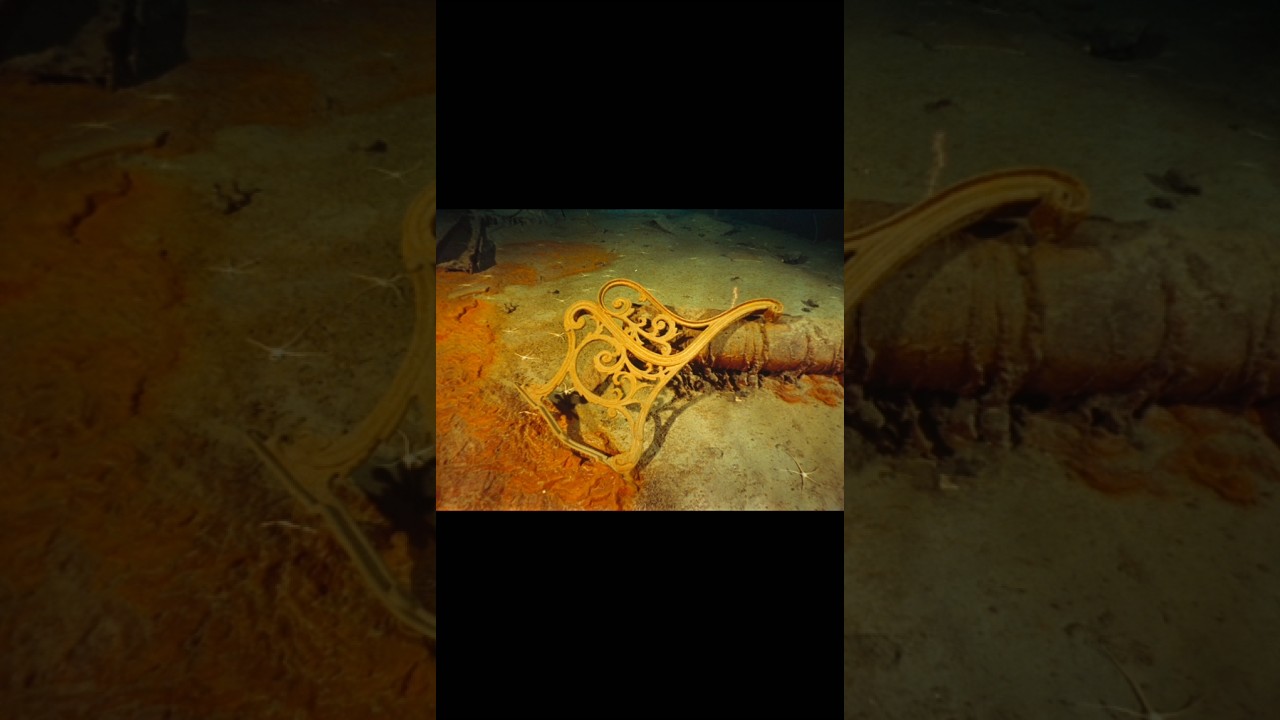 Items recovered from titanic pt-4 #shortsfeed #titanic #titanicsinking #whitestarline #titanicsink