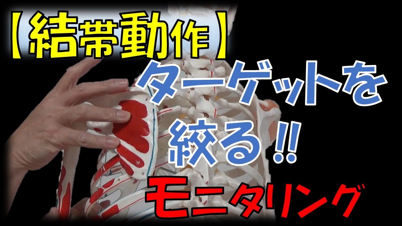vol.110 【結帯動作】骨頭・肩甲骨をモニタリングしながら改善‼