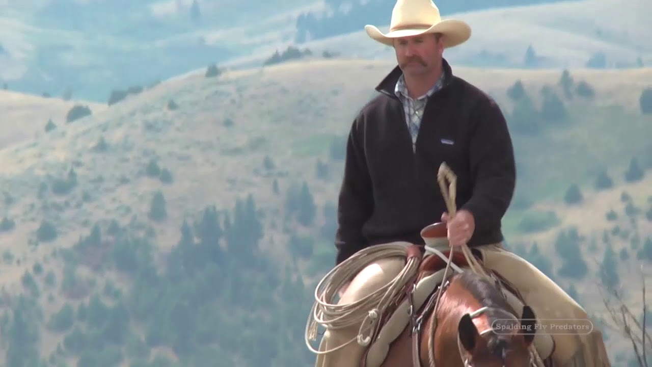 Natural Horseman Masterclass with Jon Ensign, The Reward