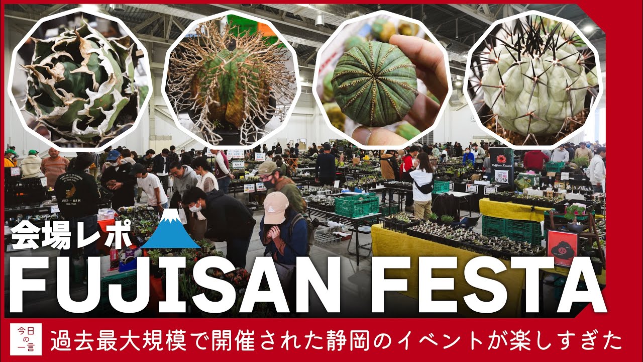 【過去最大】FUJISAN FESTA（富士山フェスタ）に初潜入したら規模が大きすぎてあまりにも楽しかったので紹介したい【アガベ・塊根・多肉】
