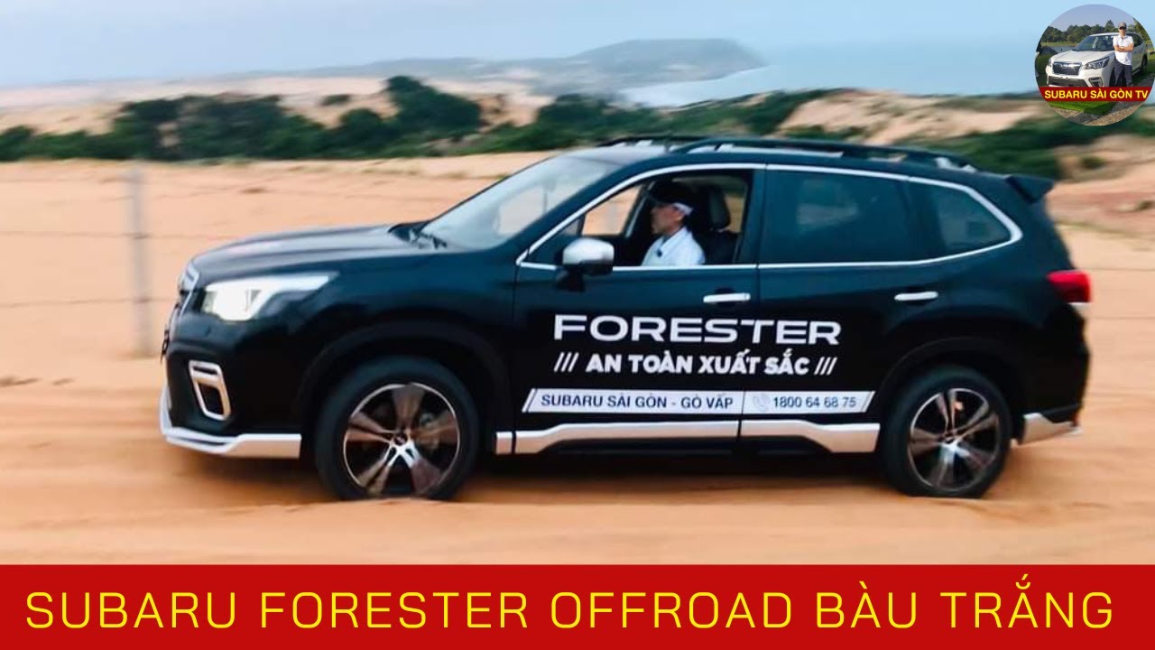 Xe Subaru Forester Offroad mũi Thủy Thần - Lướt trên cát Bàu Trắng