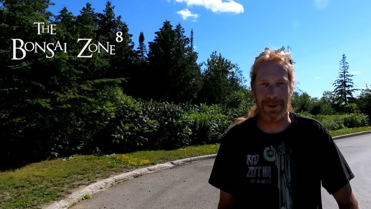 Rock Collecting for Bonsai, The Bonsai Zone, July 2021