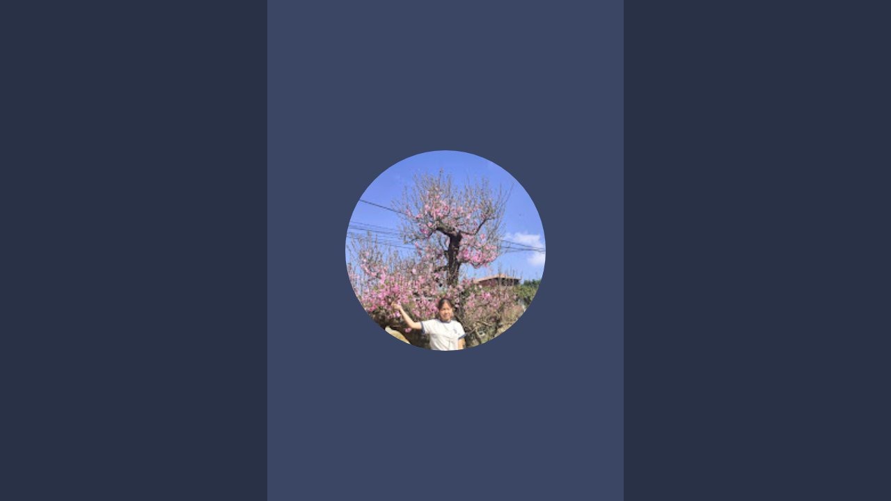 Tổng hợp các loại lan rừng lh 0328266012