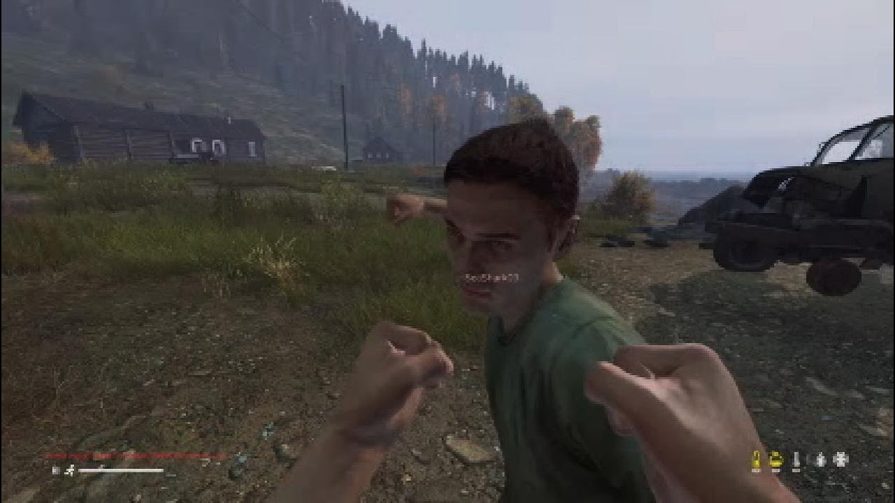 How a 2000 hour Plays Console Dayz