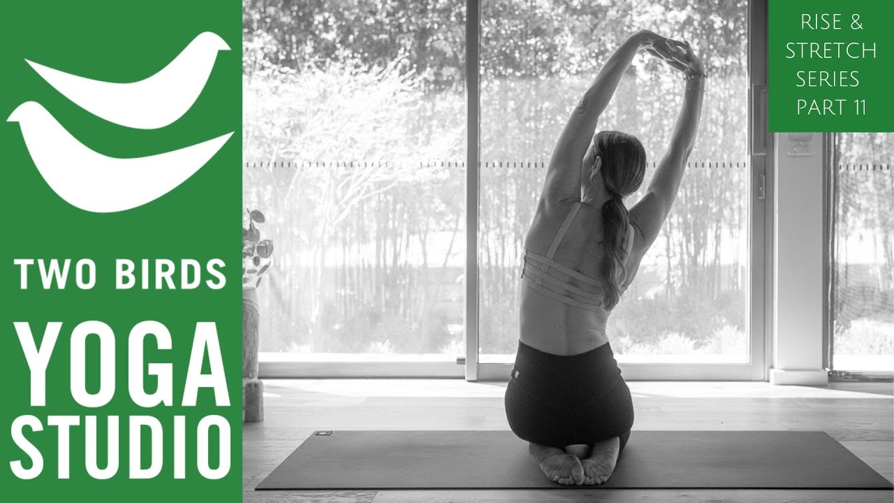 30 Minute Head to Toe Yoga Stretch (Rise & Stretch Series Part 11)
