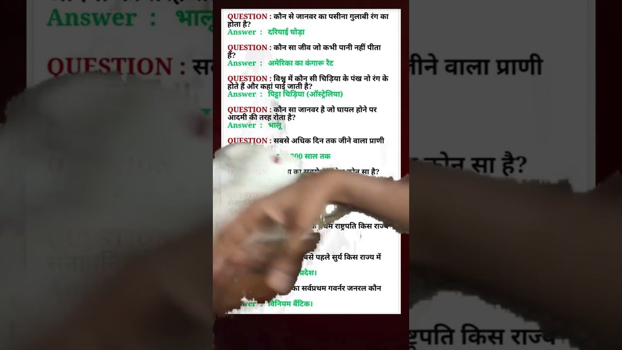 Khaleel  is live!