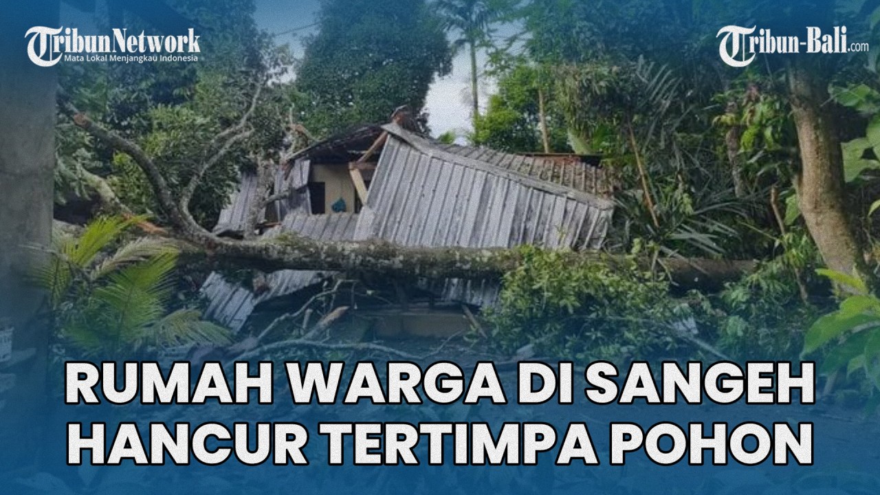 Hujan dan Angin Kencang, Rumah Warga Di Sangeh Badung Bali, Hancur Tertimpa Pohon
