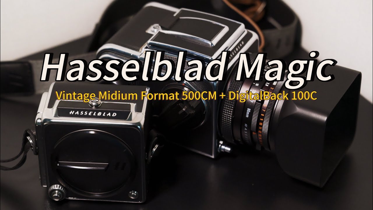 핫셀블라드 500cm 아침 골목 출사 산책 POV l StreetPhotography with hasselblad 500cm CFV 100C