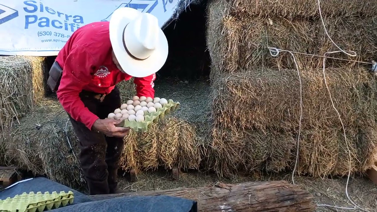 Huevitos d rancho