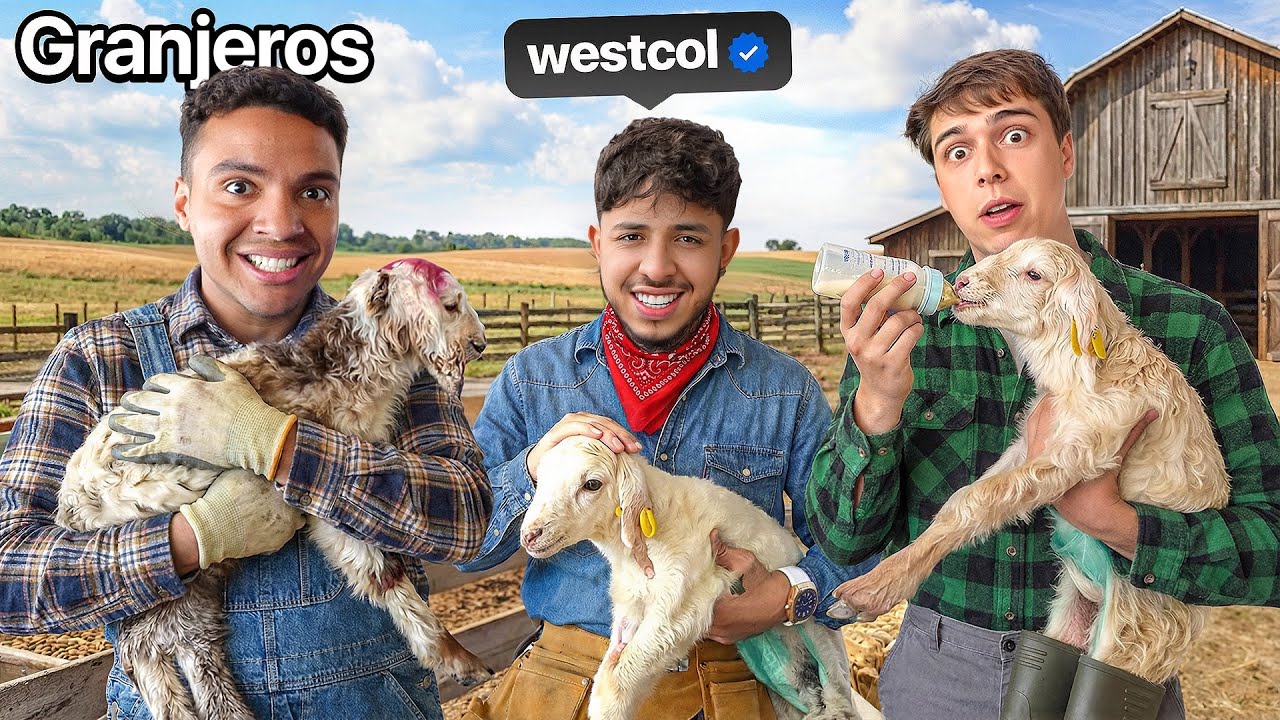 24H TRABAJANDO CON WESTCOL