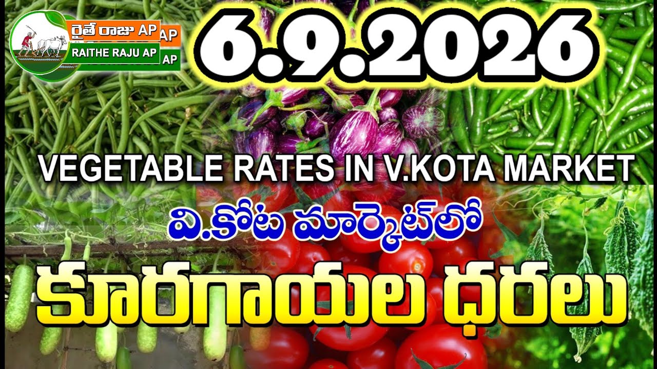 #food V.KOTA vegetable price   ఈరోజు వి కోటకూరగాయల ధరలు.# today vegetable prices #all  #agricultur
