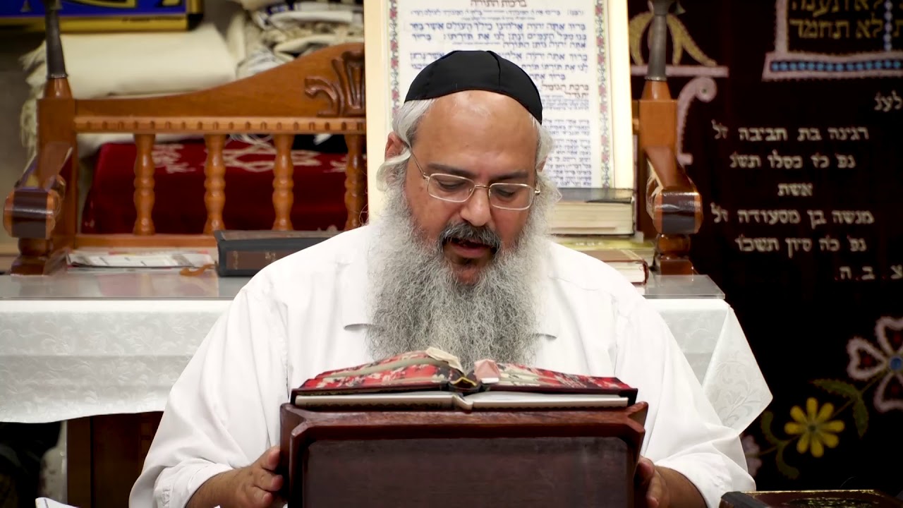 פנינים מפרשת ראה - הרב שלמה לוינשטיין HD