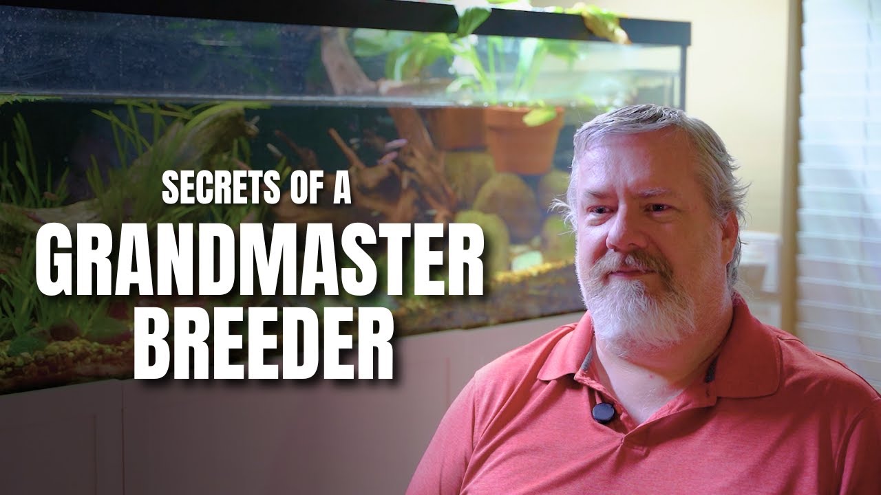 Grand Master Fish Breeder Reveals Best Practices for Success