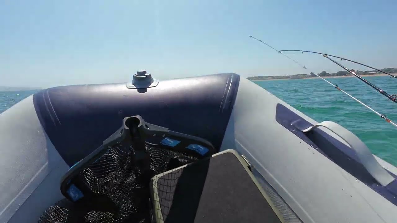 Sib fishing Weymouth boat world 330 v floor and Suzuki outboard #boatworld #boats #seafishing #fish 
