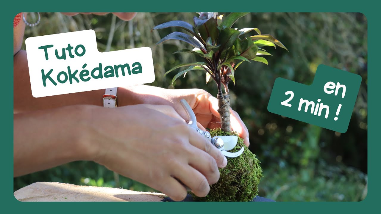 🌱Tuto court création de Kokédama avec le kit DIY Méloké