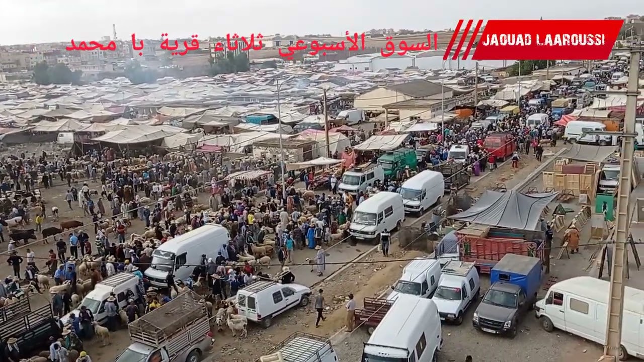 السوق الأسبوعي ثلاثاء قرية با محمد