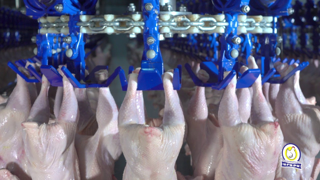 Arax Poultry