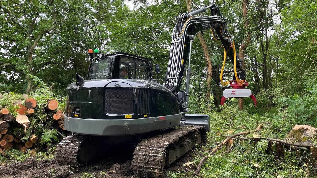 AZTECH TREE SERVICES - Ash dieback processing