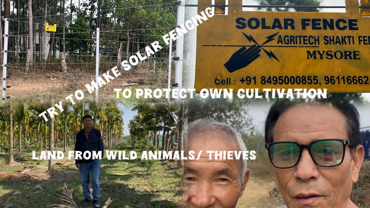 Solar fencing is best for long term protection#wild animals🐘for cultivated of plantation crops 🕊️🆒