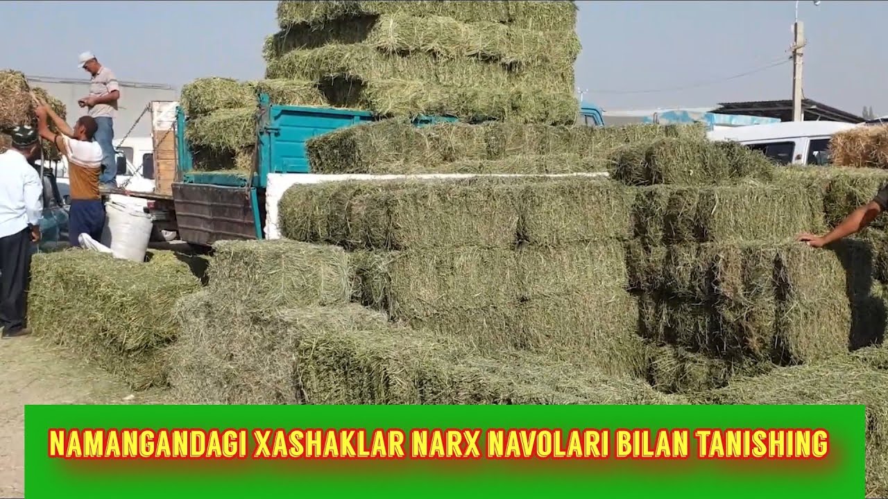 Samarqand Savxo‘z xashak,samon,beda narxlari bilan tanishing.