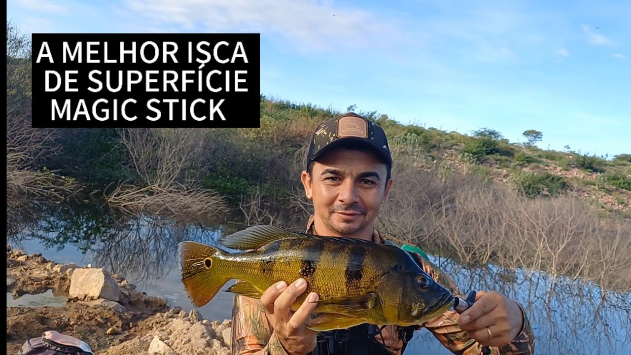 A melhor isca de superfície, para pescaria de tucunare.