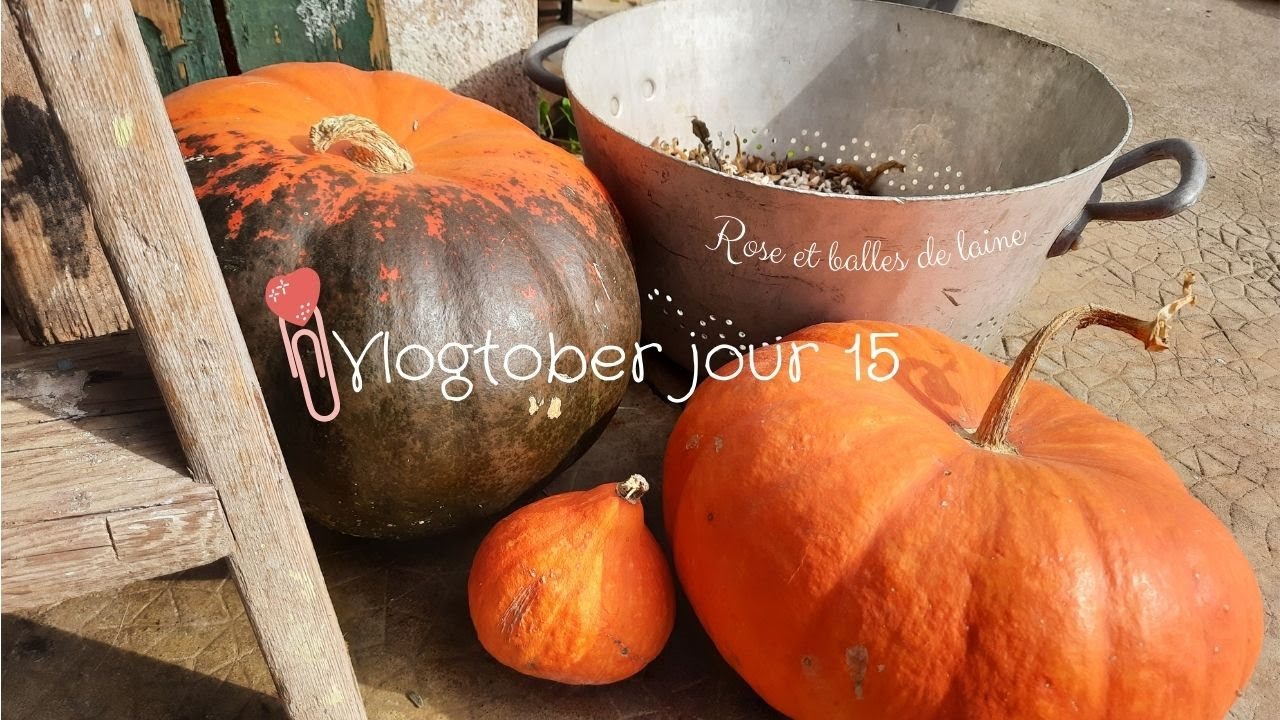 Vlogtober jour 15