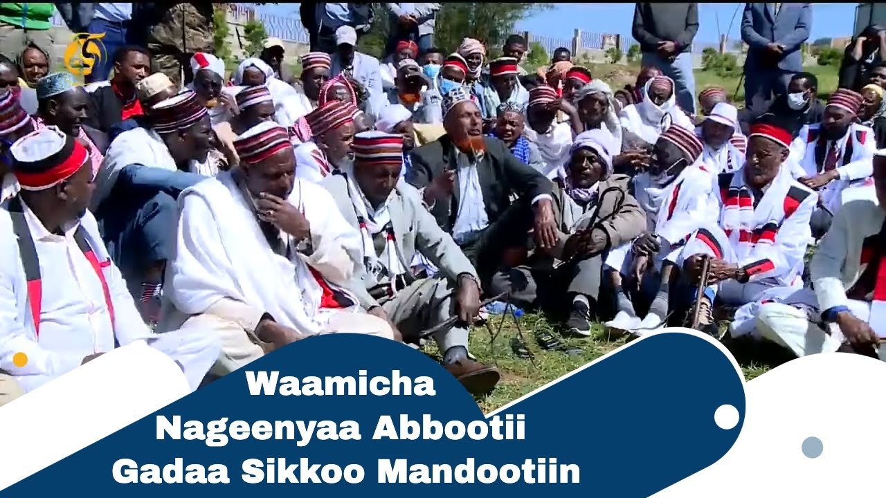 Waamicha Nageenyaa Abbootii Gadaa Sikkoo Mandootiin