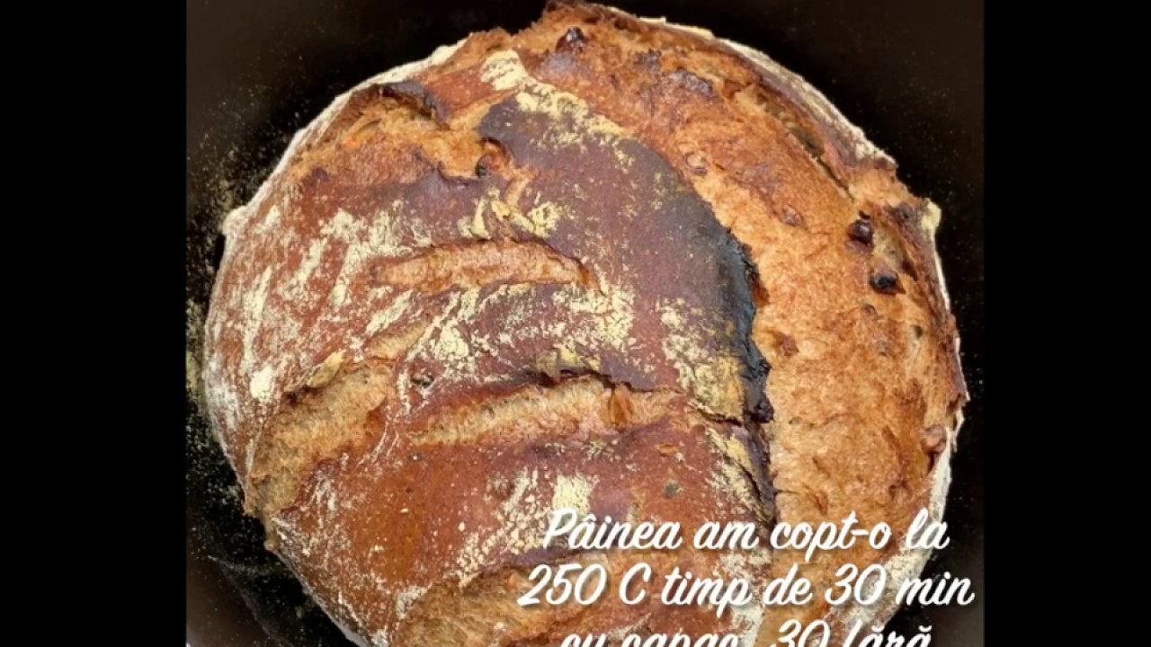 Paine integrala cu nuci