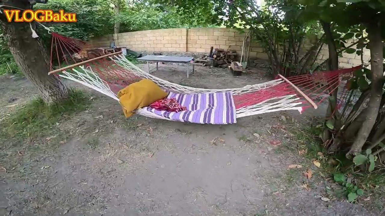 Qax rayonu gündəlik kirayə  evlər