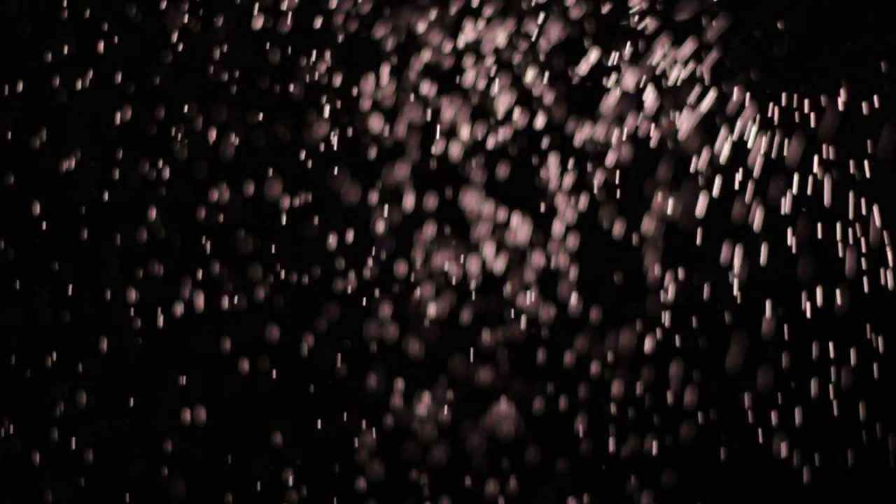 HAZE - Doctor Zygote - Zoot Records