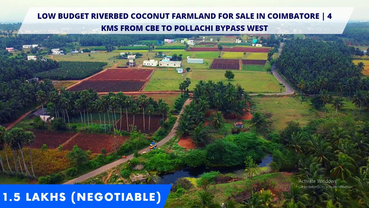 LOW BUDGET RIVERBED COCONUT FARMLAND FOR SALE IN COIMBATORE | 4 KMS FROM CBE TO POLLACHI BYPASS WEST