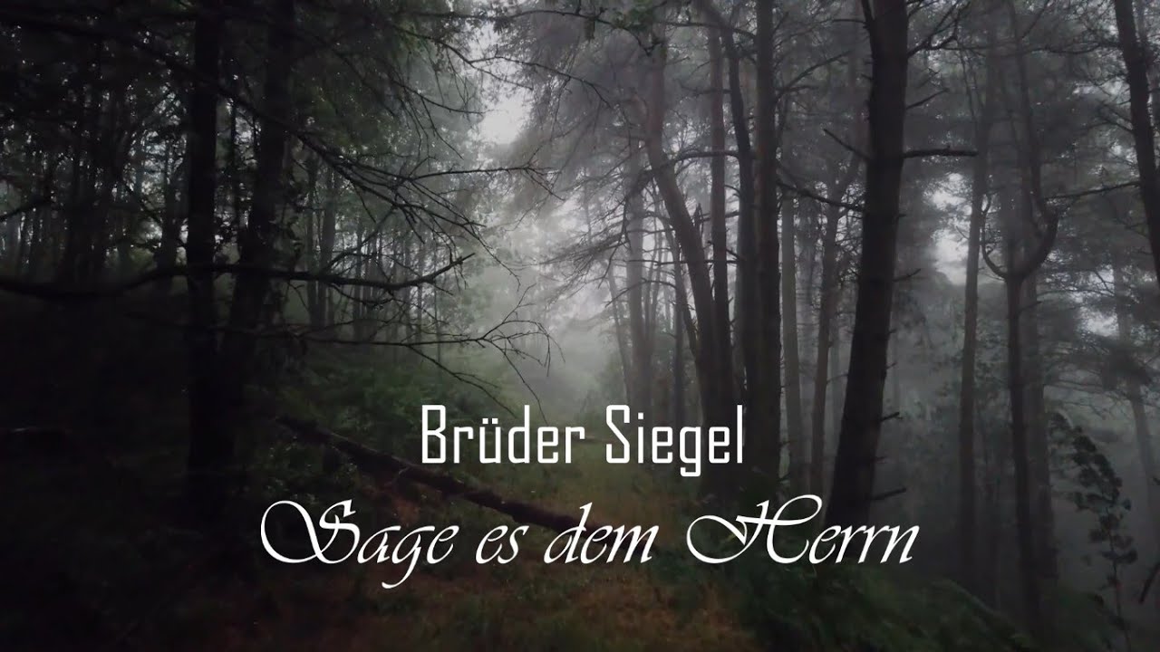 Brüder Siegel - Sage es dem Herrn [Lyric Video] (Christliches Lied)